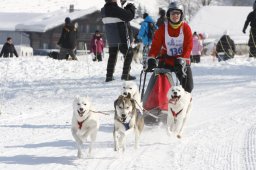 Lenk 2012 SM